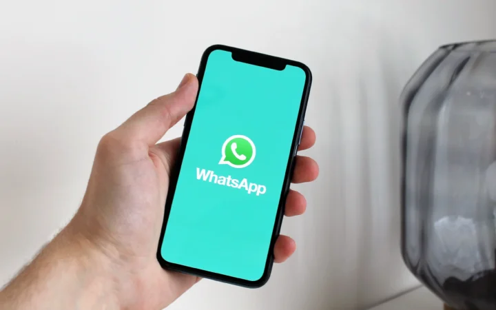 WhatsApp chat backup